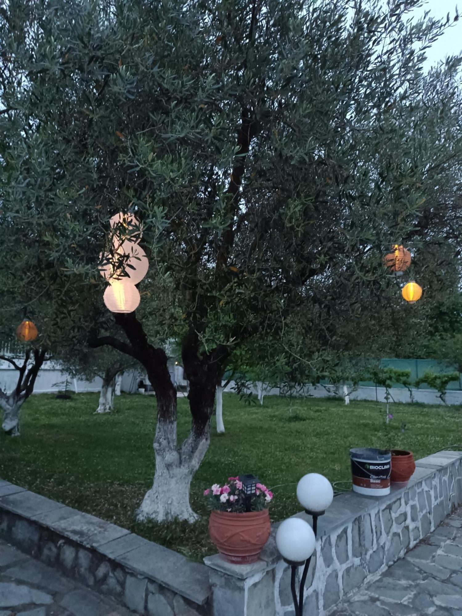 Гостьовий будинок Pomegranate Tree House - Meteora Каламбака Екстер'єр фото