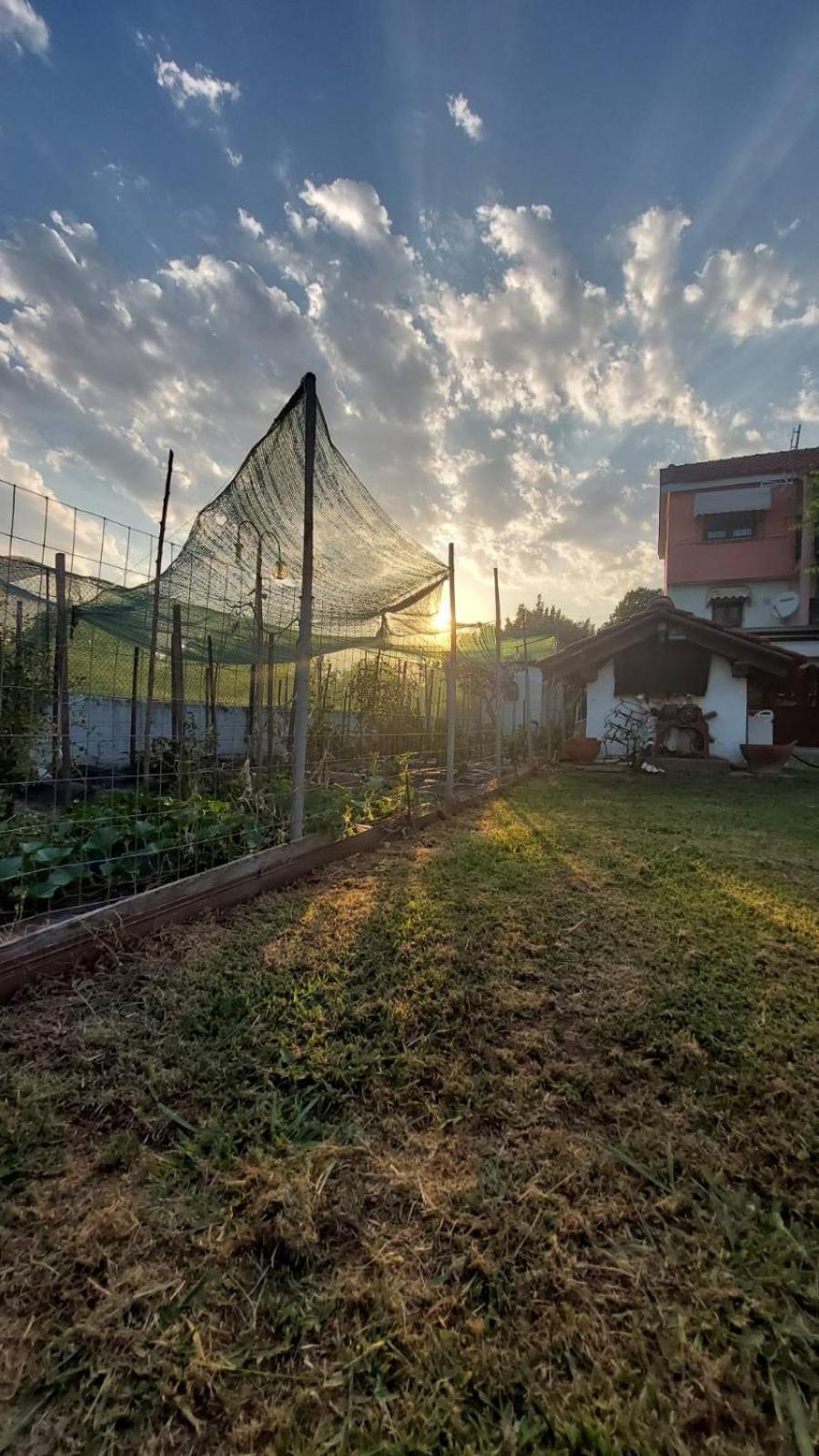 Гостьовий будинок Pomegranate Tree House - Meteora Каламбака Екстер'єр фото