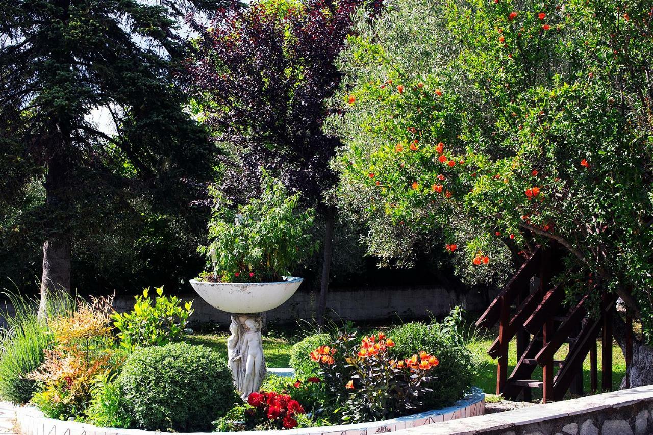 Гостьовий будинок Pomegranate Tree House - Meteora Каламбака Екстер'єр фото