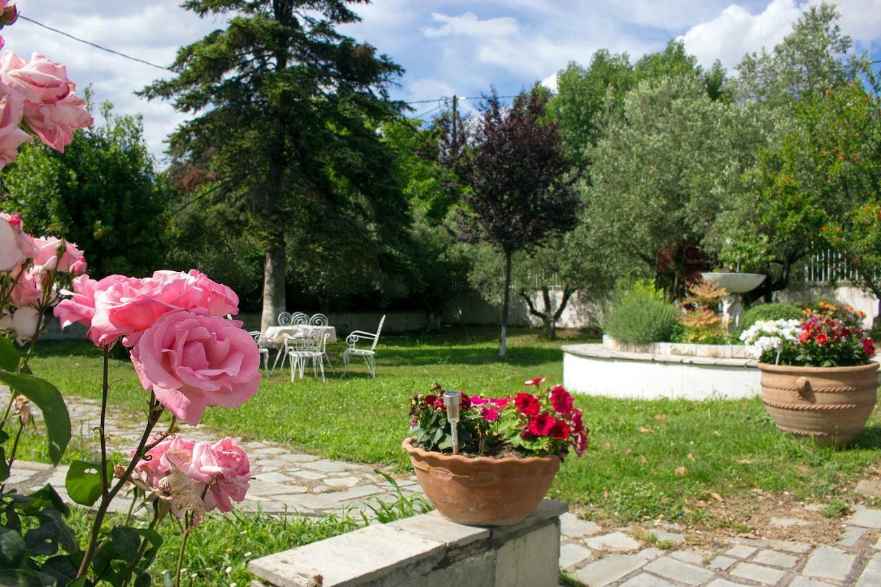 Гостьовий будинок Pomegranate Tree House - Meteora Каламбака Екстер'єр фото